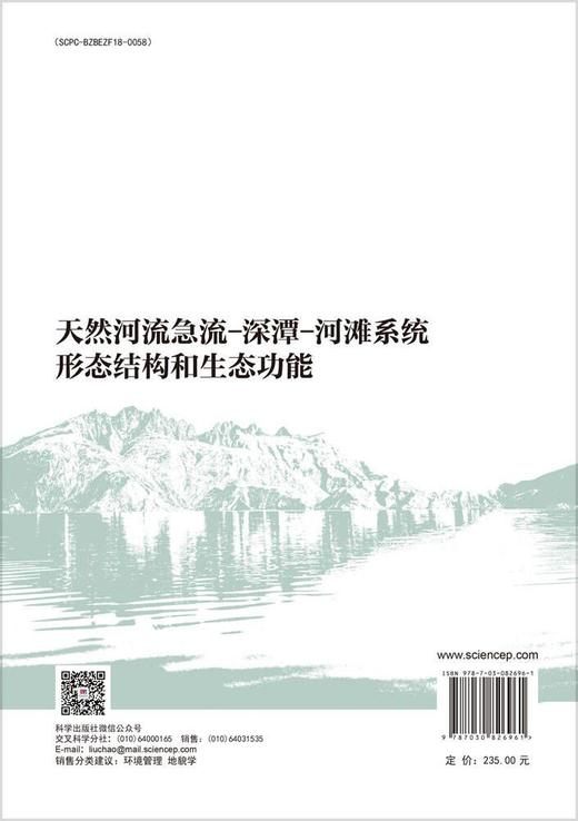 天然河流急流-深潭-河滩系统形态结构和生态功能 商品图1