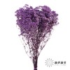 干花 | 满天星浅紫 商品缩略图1