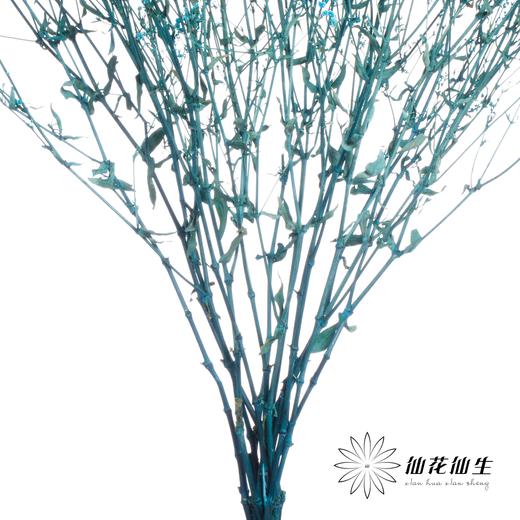 干花 | 满天星天蓝 商品图2