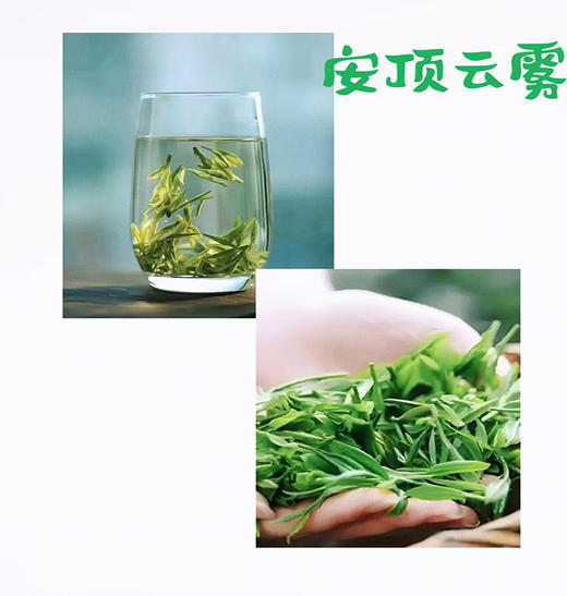 绿茶（安顶云雾茶） 商品图2