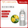 依兰依兰精油印度attar油芳疗护理香氛调香空间香薰 大篷车精油 商品缩略图0