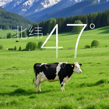 东北大板 鲜牛乳添加≥80% 奶味雪糕 80g*6支 盒装 棒支 冷饮 生鲜 商品图1