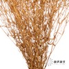 干花 | 满天星白 商品缩略图4