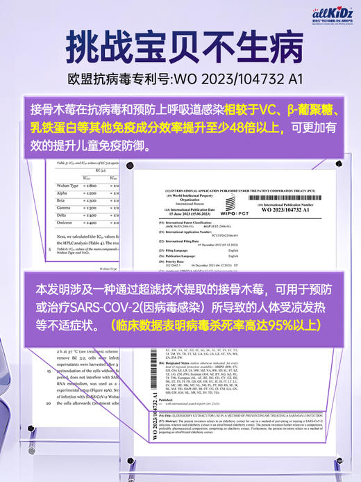 ² 跨境版【加拿大原装进口爱奇氏接骨木莓】孩子超爱喝 升级自护力 带娃不费妈 接骨木莓100ml HM02-CRMM-AQS【爱奇氏年终】 商品图1
