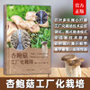 杏鲍菇工厂化栽培【袋式、瓶式栽培模式，彩图】 商品缩略图0