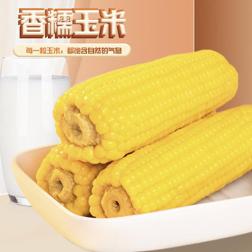 甜糯玉米 220克*8 商品图0