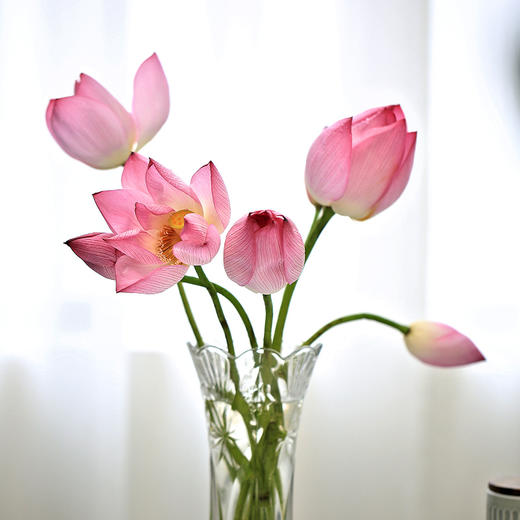 【好运“莲莲”】郧阳区安阳镇 新鲜荷花  2枝   商品图0