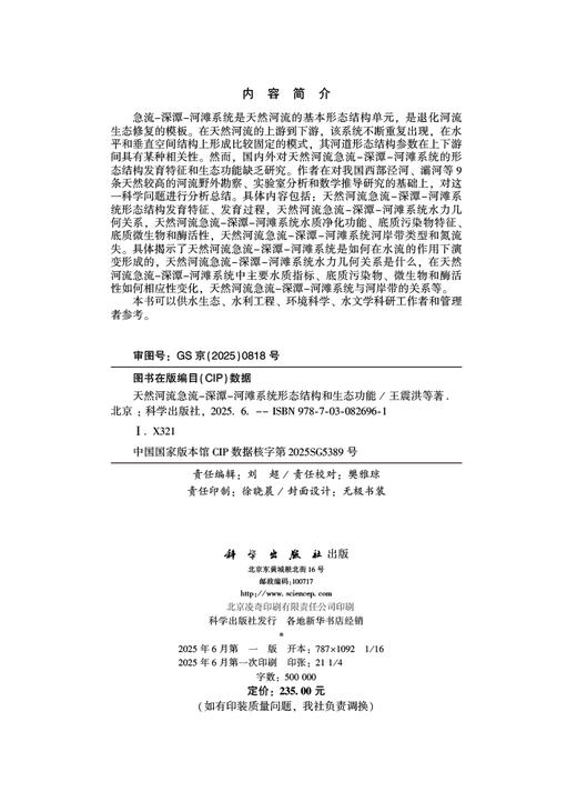 天然河流急流-深潭-河滩系统形态结构和生态功能 商品图2