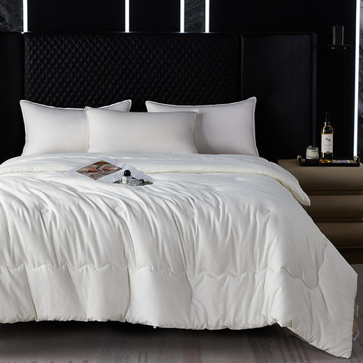 GRACE SPACE格调空间 舒柔暖绒云感四季被/保暖柔软冬被 商品图2