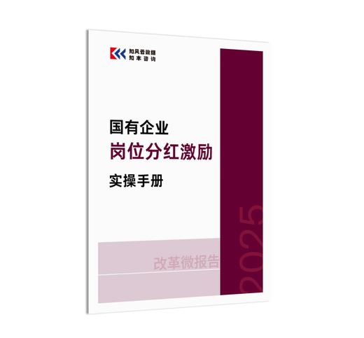 改革微报告 | 国有企业岗位分红激励实操手册（2025） 商品图1