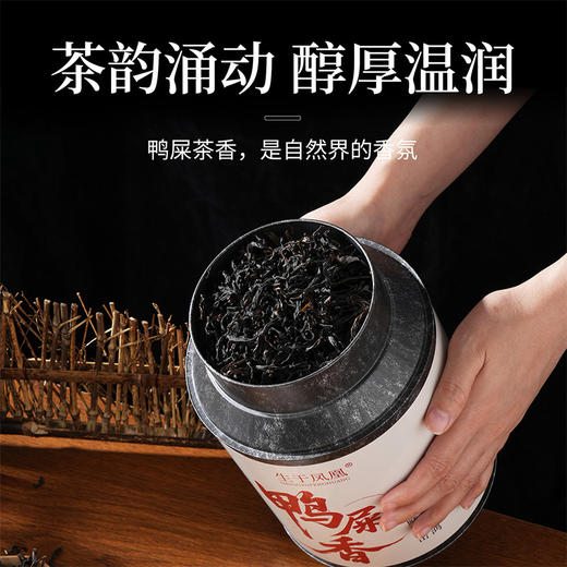 潮州凤凰单丛春茶鸭屎香清香型 乌龙茶 商品图1