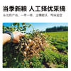 物元农场有机花生米 东北四粒红红皮花生营养丰富口感清香800g/袋 商品缩略图1