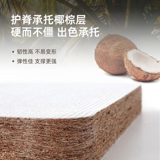 雅芳婷床垫家居床上用品格斯乳胶棕床垫(新款)LK064 商品图1