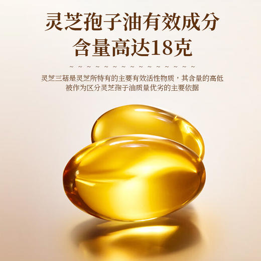 ²  到手6瓶【蓝帽子灵芝孢子油软胶囊礼盒装】低温物理破壁 每盒2瓶/共60粒 HM02-CRMM-BP 商品图3