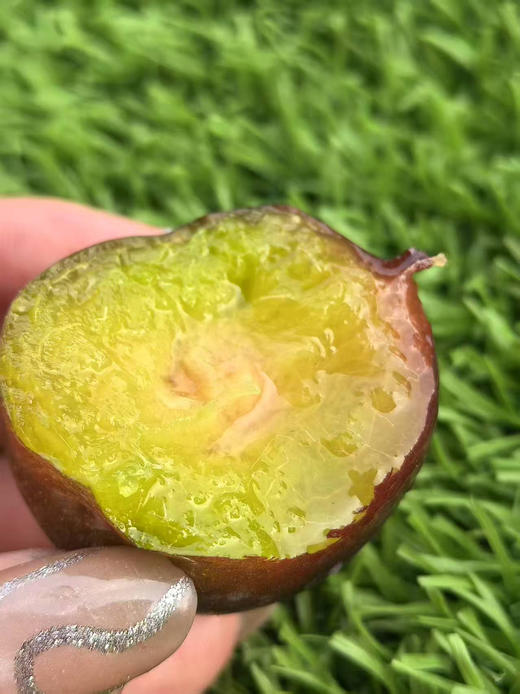 ✈️包邮到家，四川峨眉山凤凰李，脆，甜，香
咱们果霜满满，新鲜度直逼刚下树！高山果，纯有机，日晒足，糖分高，3斤/份 商品图1