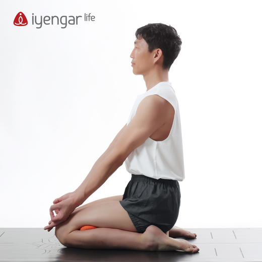 艾扬格 Life A2015春板（10个装）/稳定坐骨辅具/体式辅助 商品图6