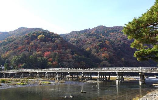 大阪滋贺县京都 自由行3晚4天 2人成团 商品图0