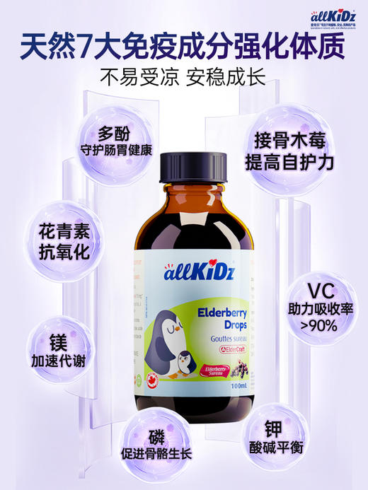 ² 跨境版【加拿大原装进口爱奇氏接骨木莓】孩子超爱喝 升级自护力 带娃不费妈 接骨木莓100ml HM02-CRMM-AQS【爱奇氏年终】 商品图3