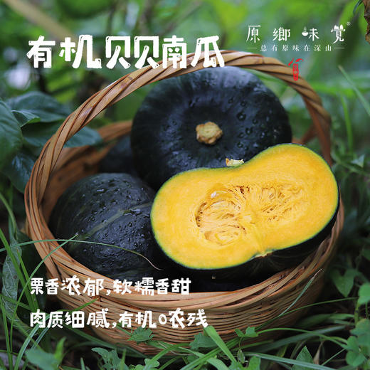 有机贝贝南瓜（基地直发-中通包邮）| 4.8斤装±50g，来自河南南召，生产者：李鹏【合作生产，公平贸易】 商品图0