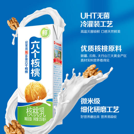 养元六个核桃营养植物蛋白饮料核桃乳250mL*12盒整箱 商品图1