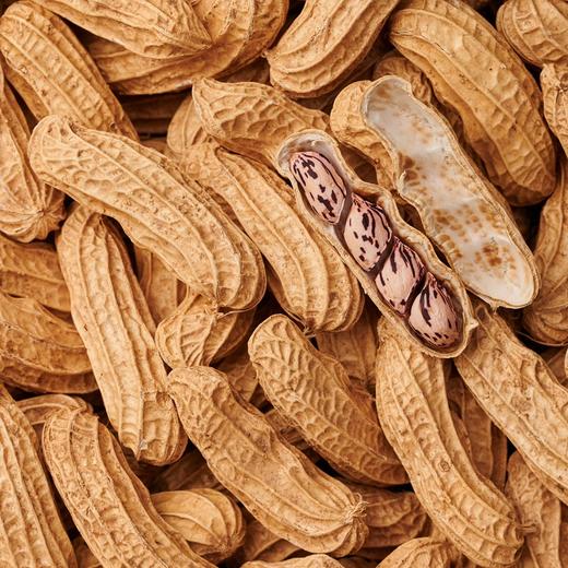 【云南七彩生花生（干生果）】好吃的花生来咯！花青素巨丰富！！傣族皇室的贡品，700年历史传承的“土著品种🥜！零食控赶紧看过来，绝对让你爱不释手。 商品图6