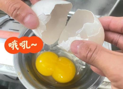 双黄大鹅蛋（6枚装） 商品图1