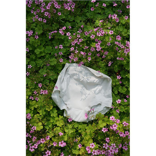 【3条装】轻塑镂空提花内裤 轻薄冰丝 高弹细腻 蚕丝底裆 舒适透气不闷汗 商品图6