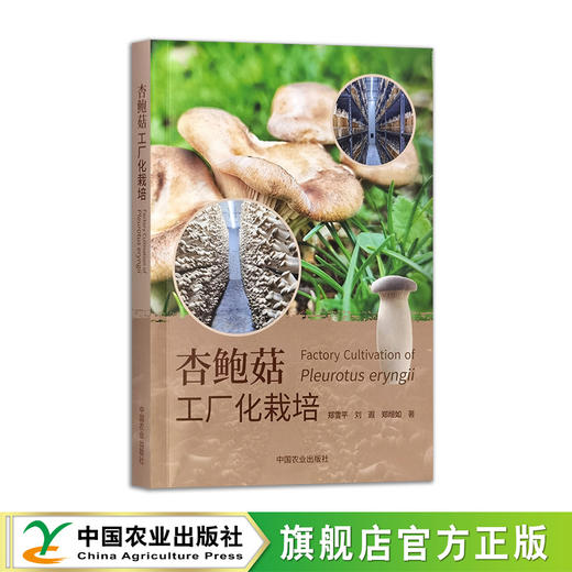 杏鲍菇工厂化栽培【袋式、瓶式栽培模式，彩图】 商品图4