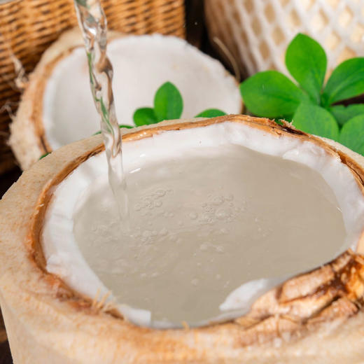 泰国奶香椰青 商品图2