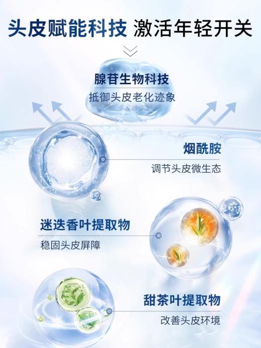 直降200元⭐【头皮护理】少量现货❗资生堂生机系列 护肤级别洗发水💥芯护理道滋养头皮 商品图2