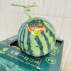 脆甜麒麟西瓜，2号箱 商品缩略图5