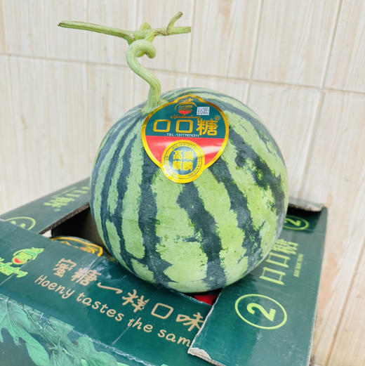 脆甜麒麟西瓜，2号箱 商品图5