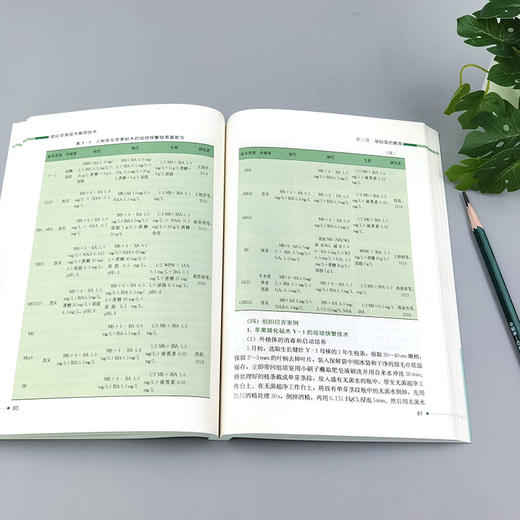 矮化苹果苗木繁育技术【矮化密植、早果丰产】 商品图2