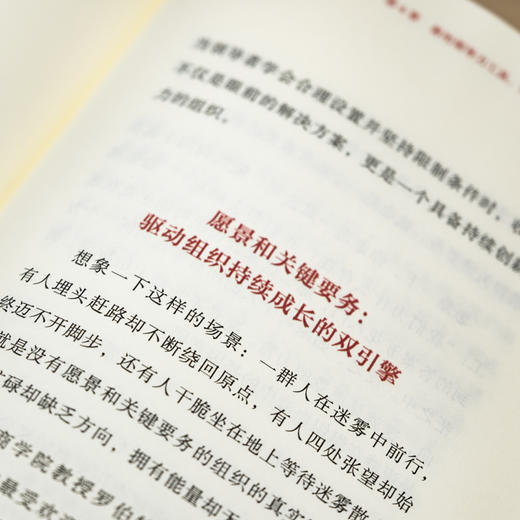 【樊登好书】主角模式（赠手写信+思维导图） 商品图5