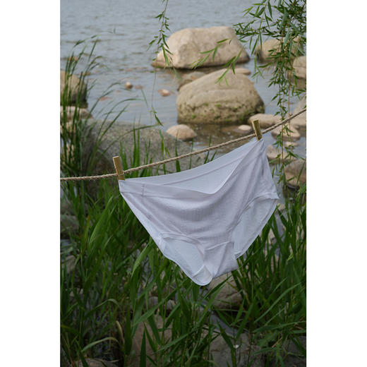 【3条装】 40S亲肤云感透气莫代尔内裤 细腻舒适 轻薄透气 中腰版型 立体包臀 商品图3