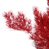 永生花材｜蓬莱松酒红 商品缩略图1