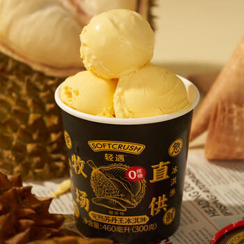 轻遇（SoftCrush）零蔗糖苏丹王榴莲味雪糕冷饮甜品冰淇淋家庭杯装460ml 商品图4