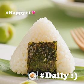 京鲁远洋三角饭团青梅味即食早餐充饥抗饿方便速食100g/个