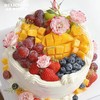 39.原味动物奶油蛋糕 商品缩略图0