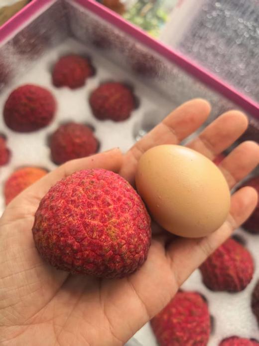 【巨美人】荔枝高端礼盒装（18粒） 商品图1