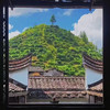 三联茶山行（活动另包含3场茶会）政和伏花 自研策划 5天4晚纵览花茶白茶红茶乌龙茶 私藏老茶鉴赏茶会 商品缩略图1