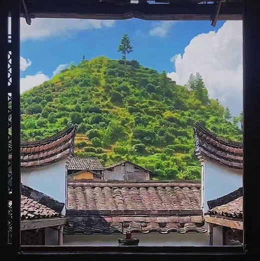 三联茶山行（活动另包含3场茶会）政和伏花 自研策划 5天4晚纵览花茶白茶红茶乌龙茶 私藏老茶鉴赏茶会 商品图1