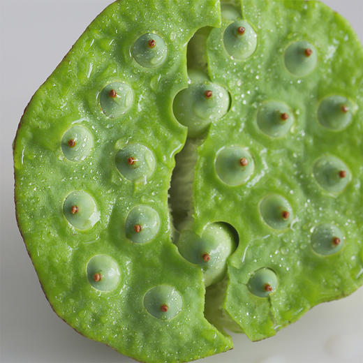 【十堰主城区包邮】“好运莲莲”套餐 郧阳区安阳镇 新鲜荷花5枝+莲蓬5个  商品图4