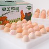 灵芝鸡蛋50枚 商品缩略图2