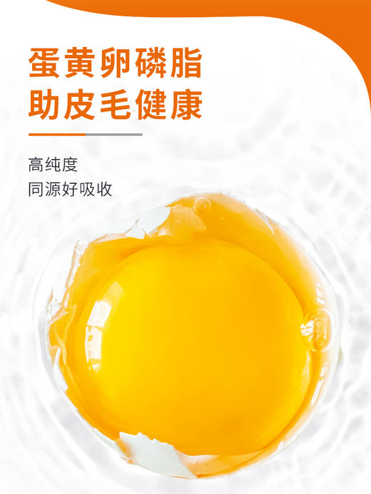 【49元任选3件】普安特卵磷脂狗宠物美毛护肤爆毛金毛泰迪掉毛狗狗专用犬用软磷脂40g/包（2包） 商品图1