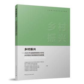 乡村振兴——2020年全国高等院校大学生乡村规划方案竞赛优秀成果集