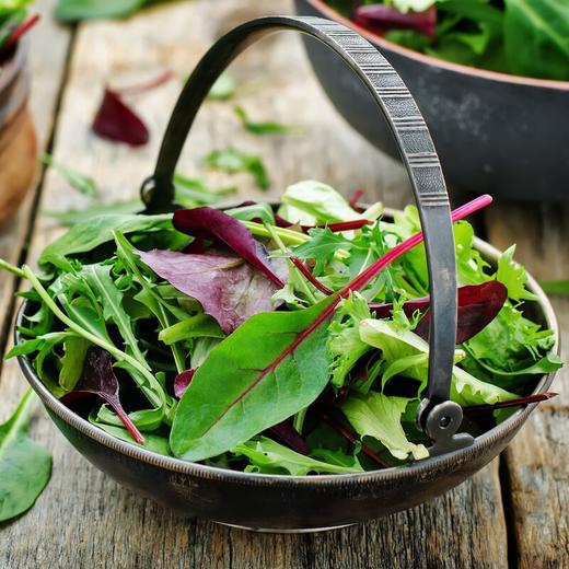 综合色拉叶 Seasonal Salad Mix 100g/袋 商品图0