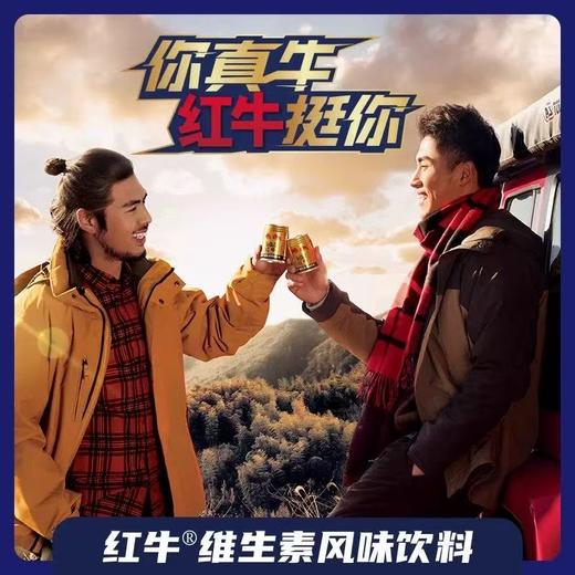 红牛 风味功能饮料 250ml*24罐/箱 商品图3