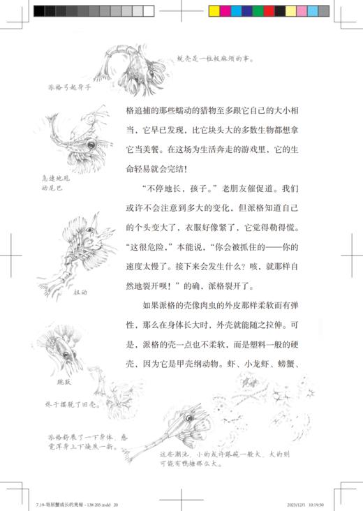 《划桨入海:自然冒险家笔记》全4册 8-12岁 纽伯瑞奖+凯迪克奖获奖作品 感受别样的沉浸式纸上自然冒险 商品图3