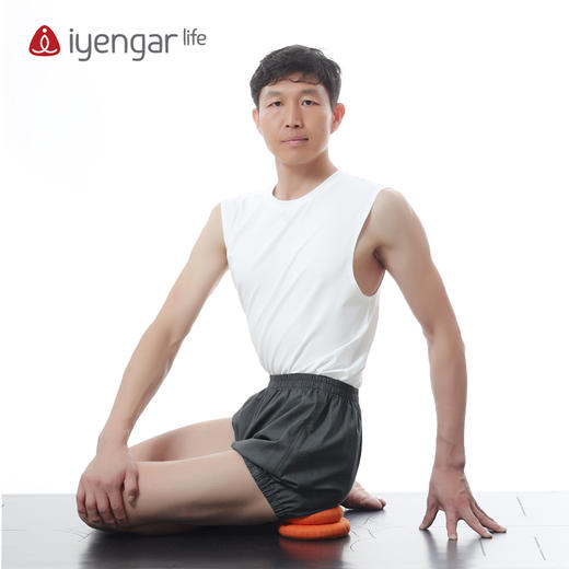 艾扬格 Life A2015春板（10个装）/稳定坐骨辅具/体式辅助 商品图5